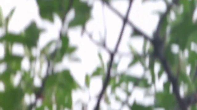 Переспелая шпанка на даче. Пригород Белгорода. смотреть онлайн