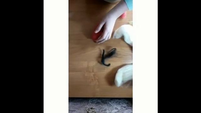 #Учимсядома. Творческая мастерская