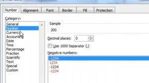 MS Excel 2010:Formatting Numbers