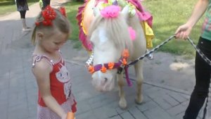 Лошадка ест морковку