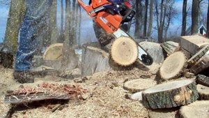 Husqvarna 545 chainsaw ported