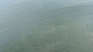 Рыбалка" СИСИМ"-Зубатые щуки!Неимоверные впечатления!