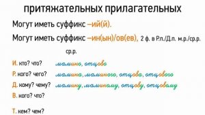 Склонение притяжательных прилагательных (6 класс, видеоурок-презентация)