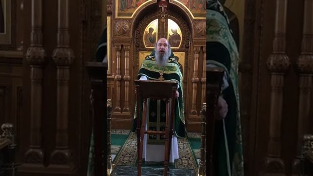 Таинство Соборования. Проповедь архимандрита Мелхиседека. 20.04.19 смотреть онлайн