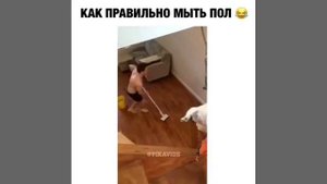 Прикол. Как правильно мыть пол