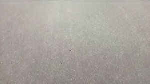 СЕВЕРНАЯ КОРЕЯ ВЛОГ