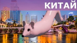 Мышка сосиска на разных языках