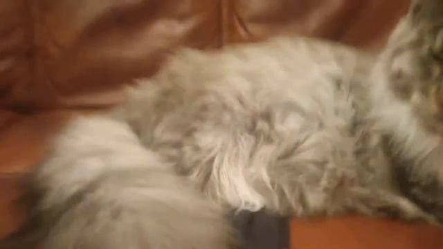 Ричард смотреть онлайн