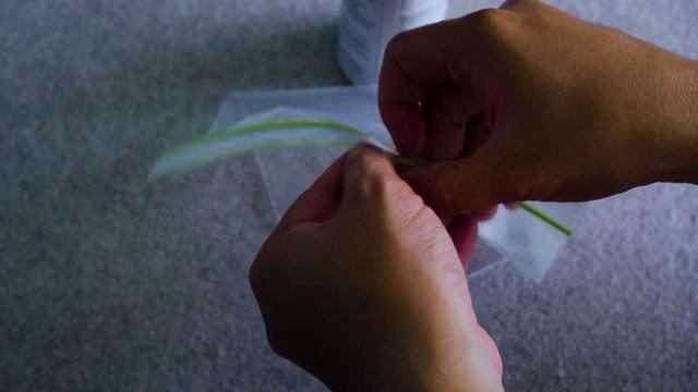 Catnip Shaker by Catit | Cat Products Reviews смотреть онлайн