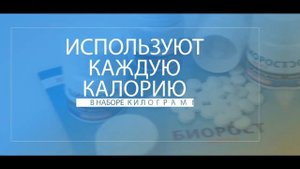 Как набрать вес с Биорост Форте ?