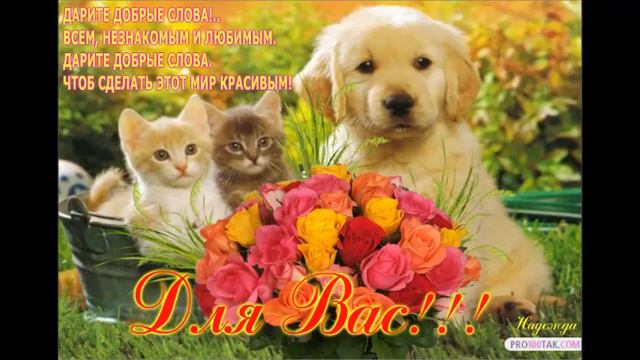 счастье в твой дом! смотреть онлайн