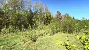 Рождествено