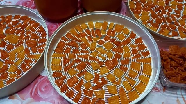 Дегустируем тыквы. Сорта: Лунга ди Наполи и голосемянная Юнона