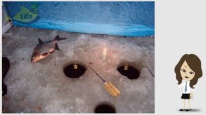 Как ловить леща ночью зимой? Секреты ловли леща ночью зимой!