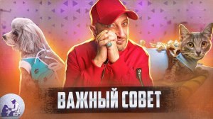 Это должен знать каждый владелец домашнего животного!