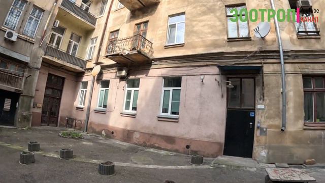 Одесса. Канатная. Провал двора. Обрушение фасада. Обойная фабрика. Доходный дом Тарнаполь. #зоотроп смотреть онлайн