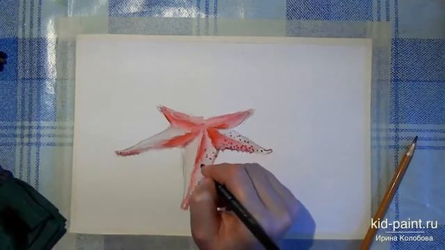 Урок рисуем Морскую звезду на морском дне смотреть онлайн