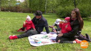 Меню для пикника. Доброе утро. Фрагмент выпуска от 01.06.2022