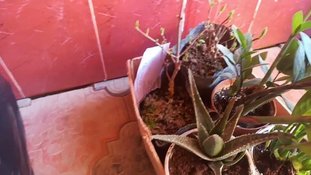 Заказлар йулга чикмокда смотреть онлайн