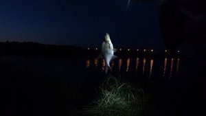 Мокшино.. Вечерняя рыбалка.. Около пляжа.. Первый в жизни лещ )) Эмоции.. ))