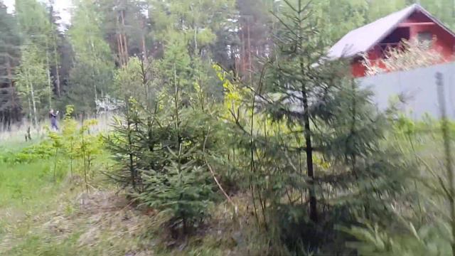 Земельный участок в красивом месте Киржачского района смотреть онлайн
