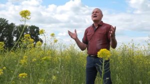 Нурислам - энием