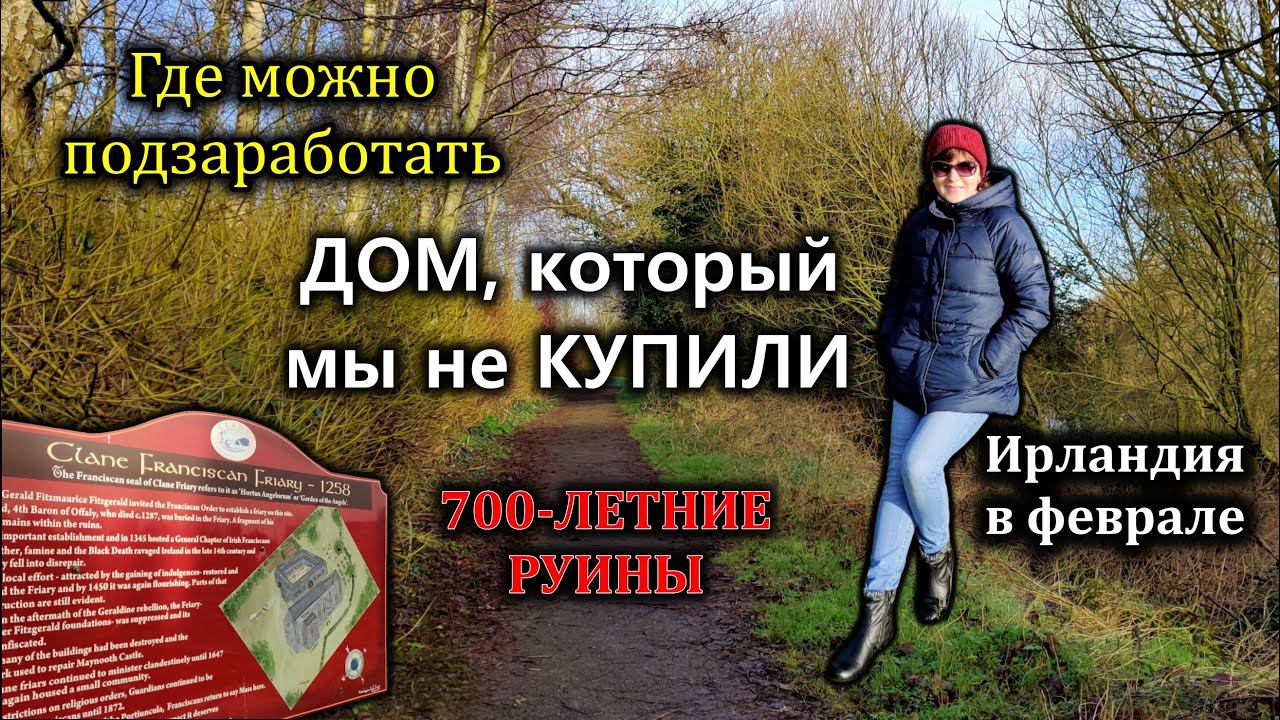 Ирландия / Выходной и моя новая работа @elena.ireland
