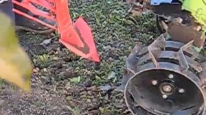 картофелекопатель врмз .испытание  на фрезерованной почве