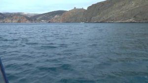 Крым. Балаклава. Морская рыбалка. Ставрида, окунь (смарида).