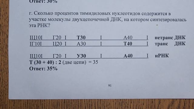 Цитология. Задачи. Часть 2. ДНК, РНК. смотреть онлайн