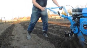 Рыхление междурядий картофеля мотоблоком Fazenda K-700