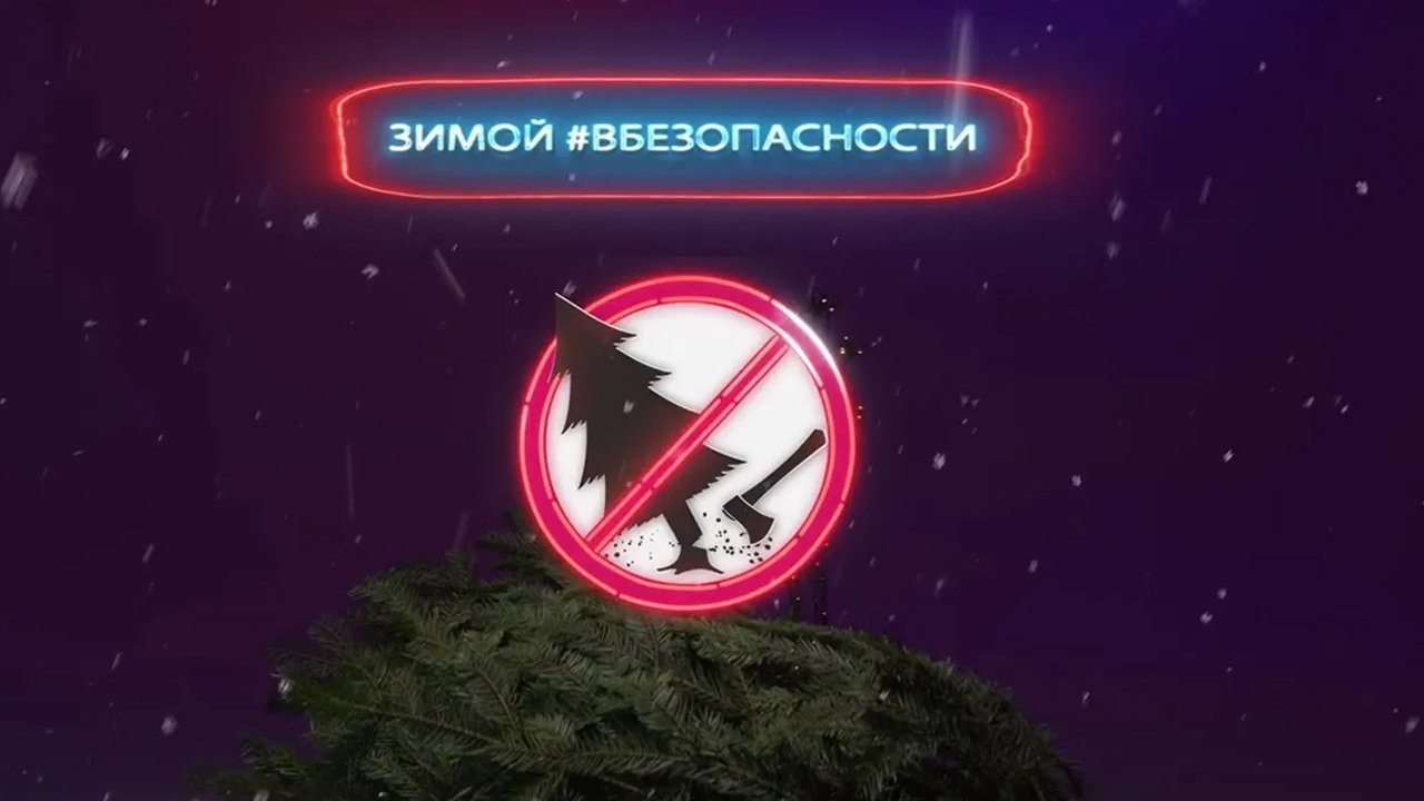 В преддверии Нового 2023 года МВД России запускает проект «Зимой #ВБезопасности»