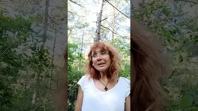 ПРИЧИНЫ КОНФЛИКТОВ смотреть онлайн