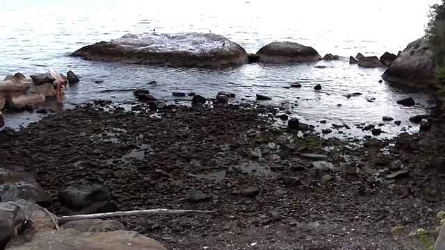 Trieste Agosto 2017 - panasonic hc-v110 смотреть онлайн