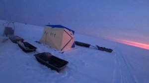 Крупная навага в УНЕ, р.Вежма#УНА#Рыбалка2022#Белое море