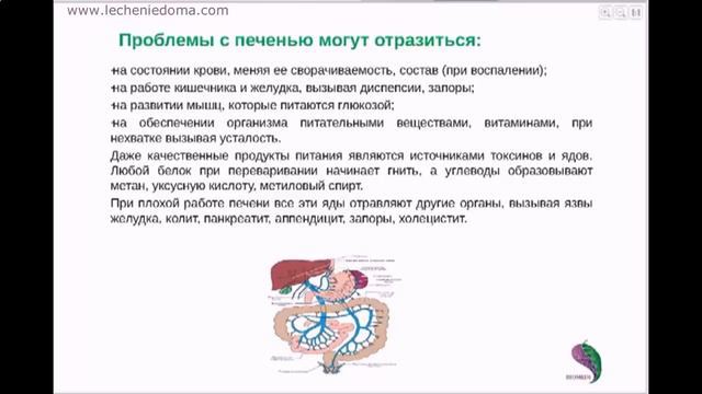 Домашнее лечение печени, признаки болезни печени, как лечить болезни печени, заболевание печени