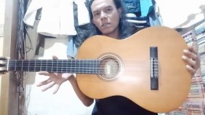 Gitar Valencia VC 204