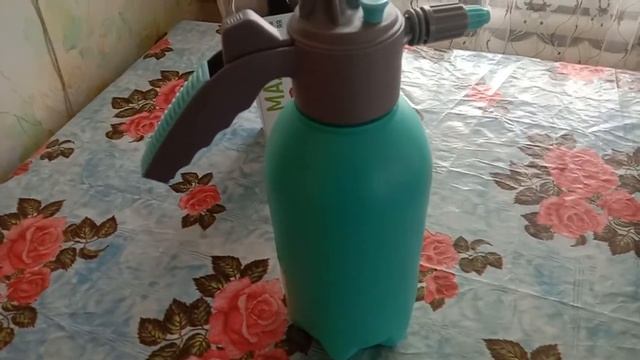 ЛУЧШИЕ СОРТА МАЛИНЫ И СМОРОДИНЫ КРАСНОЙ