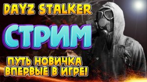 Dayz Stalker RP - New Horizon Chernobyl Zone! Проект Dayzavr Stalker RP!