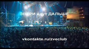 ЗВЕРИ - Районы кварталы