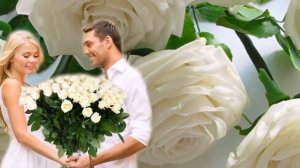 Букет из белых роз.