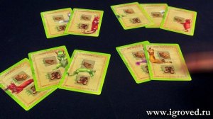 Остров кошек. Обзор настольной игры от Игроведа