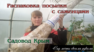 Я В ШОКЕ! Распаковка посылки с саженцами от САДОВОД КРЫМ