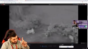 HARD PLAY СМОТРИТ ЗОМБИ ЧЕЗ 8 ПРИЗРАКОВ ДОМАШНИХ ЖИВОТНЫХ