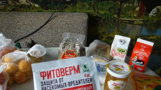 Покупки в "Глобус" и "Fismart". (Извините!!!!). смотреть онлайн