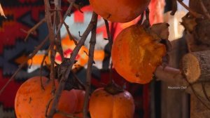 ЦЕЛЬНАЯ БАРАНИНА, ПРИГОТОВЛЕННАЯ В ТАНДЫРЕ Азербайджанская Кухня Деревенская Кухня  Рецепты