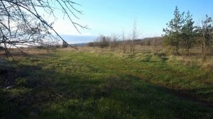 Нагонка эстонской гончей.