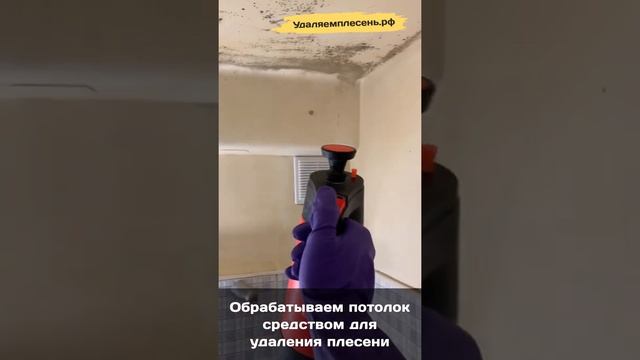 Удаление плесени на потолке в ванной