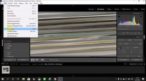 วิธีแก้ Develop ใช้งานไม่ได้ Adobe Lightroom Classic CC 2019