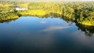 Съемка с дрона местности небольшой деревни. Видео квадрокоптера с высоты птичьего полета озера.